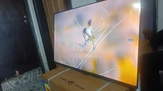 No Dulling Moment Television 43inches TCL Smart Televisions · Photo 1