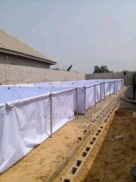 Catfish and Tilapia Farm Construction · Photo 1