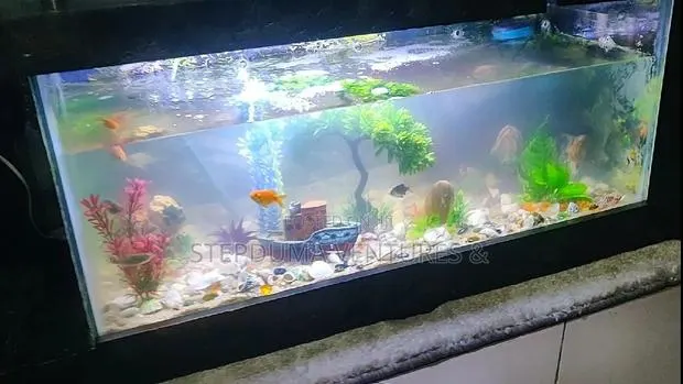 5ft+ Aquarium Tv Stand With 3 Free Fishes Feed · Photo 6