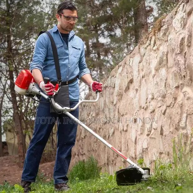 Grass Trimmer 4 in 1 Multifunctional Bush Cutter(Ecoolmax) · Photo 1