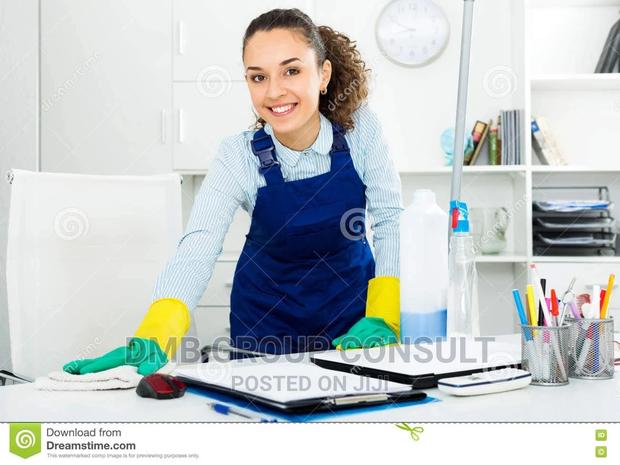 Professional CLEANER · Photo 2