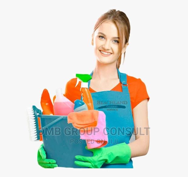 Professional CLEANER · Photo 1