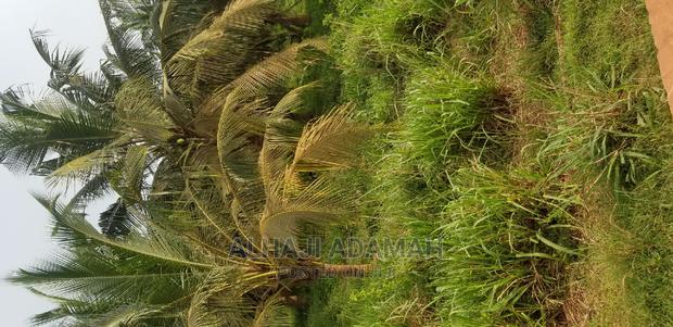 Land for Sale at Brofoyedro Ampemanim Kokoben · Photo 1