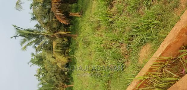 Land for Sale at Brofoyedro Ampemanim Kokoben · Photo 7