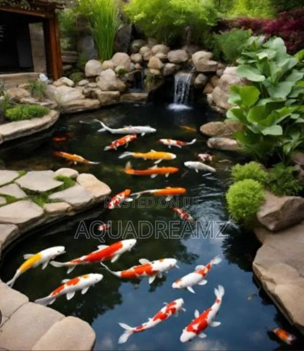 Koi Fish Pond Builders · Photo 1