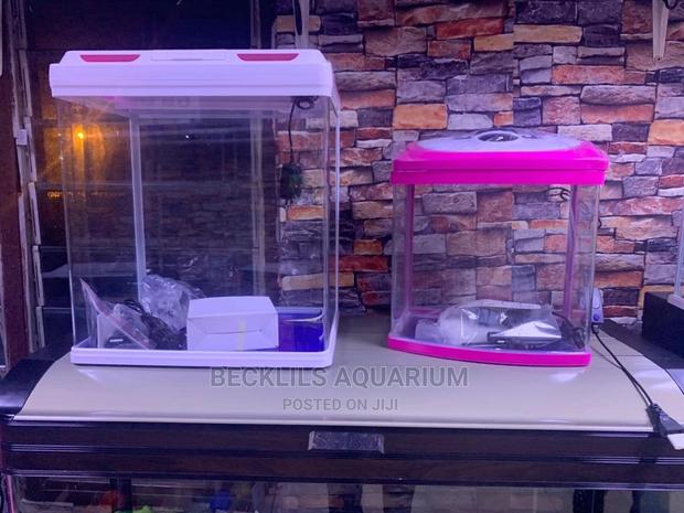 Imported Aquarium · Photo 3