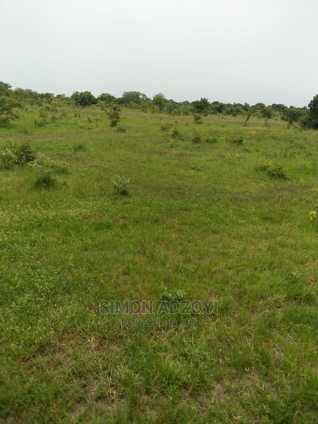 Farm Land for Lease