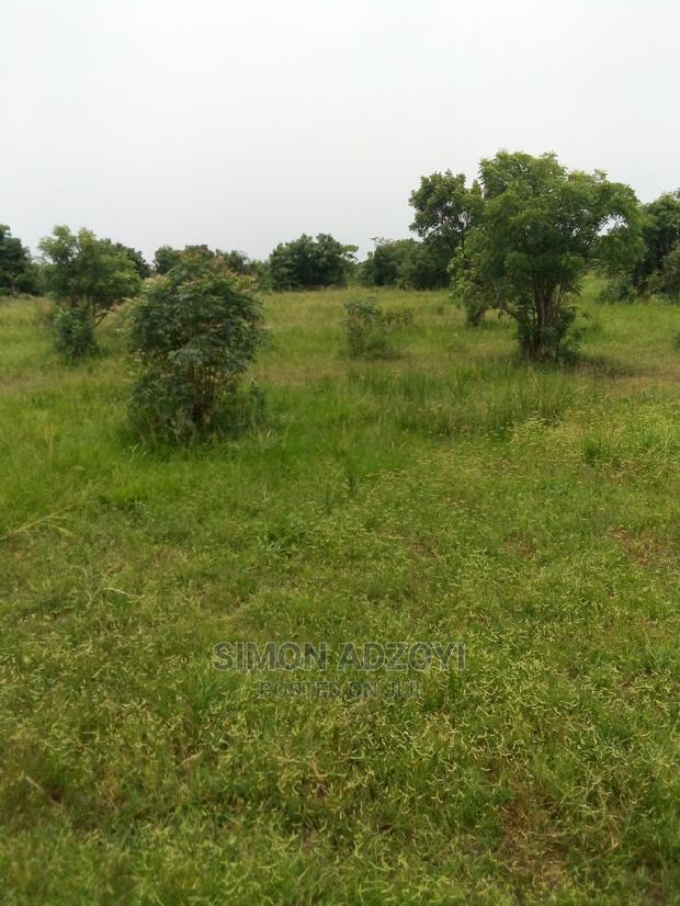 Farm Land for Lease · Photo 2