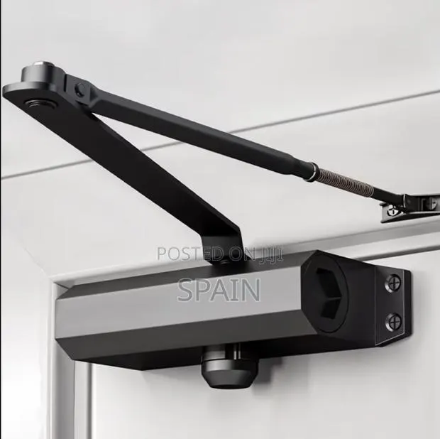 Original Door Closer With Hinges (Door Closers) · Photo 1