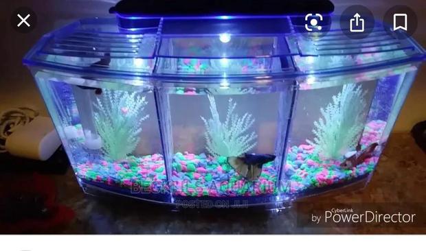 Mini 3 in 1 Aquarium Tank · Photo 2