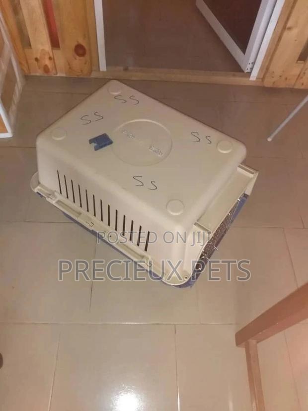 Mobile Plastic Crate/Cage · Photo 3