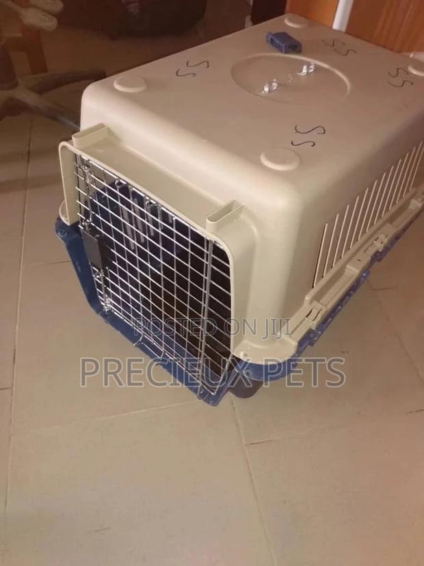Mobile Plastic Crate/Cage · Photo 4