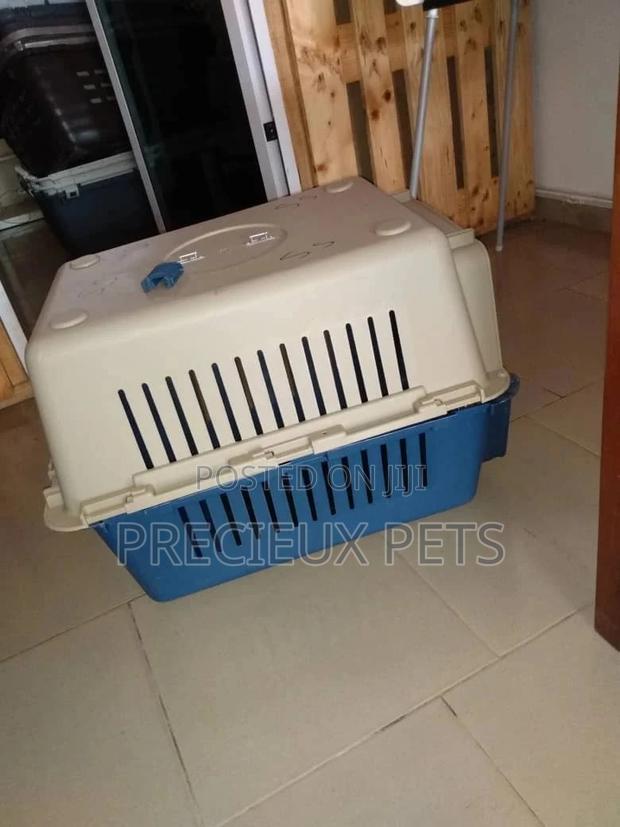 Mobile Plastic Crate/Cage · Photo 2