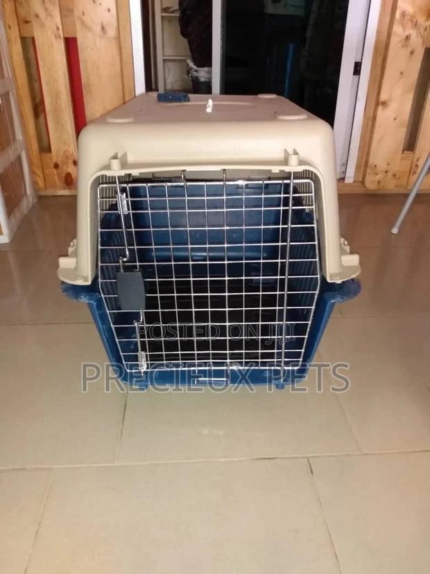 Mobile Plastic Crate/Cage · Photo 1