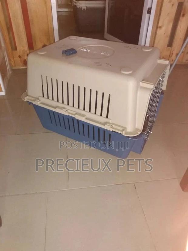 Mobile Plastic Crate/Cage · Photo 5