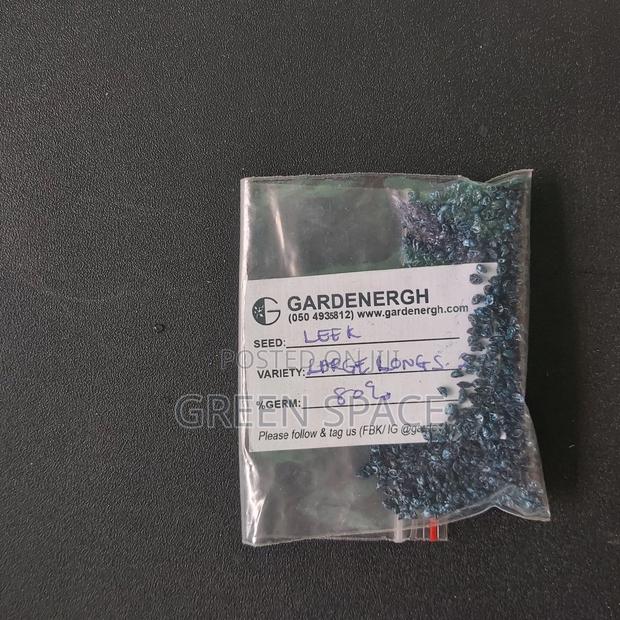 Leek Seeds · Photo 2