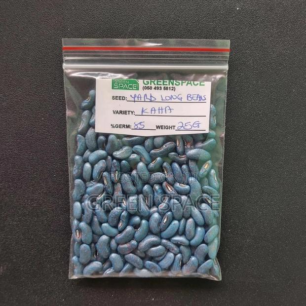 Green Beans · Photo 1