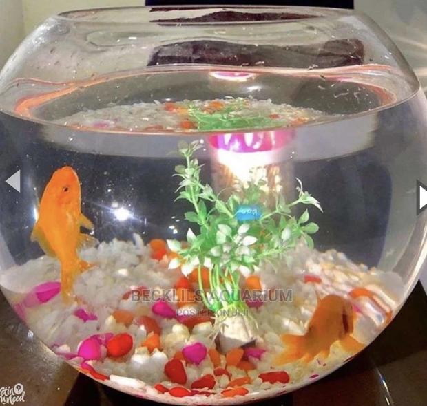 Aquarium Fish Bowl · Photo 1
