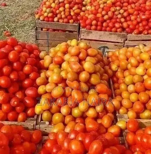 Good Food Available · Photo 1
