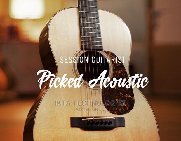 Native Instruments Session Guitarist for KONTAKT · Photo 5