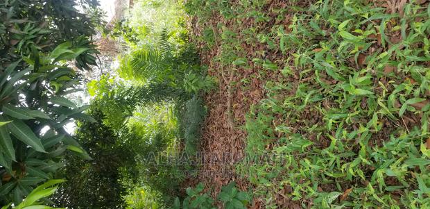 Plot for Sale at Darko New Site in Kumasi · Photo 6