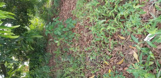 Plot for Sale at Darko New Site in Kumasi · Photo 7
