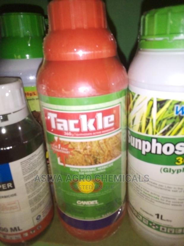 Weedicides · Photo 6