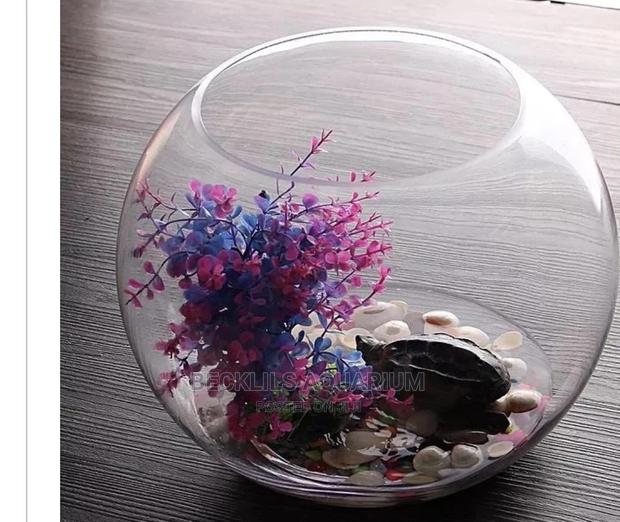 Mini Aquarium Fish Bowl · Photo 3