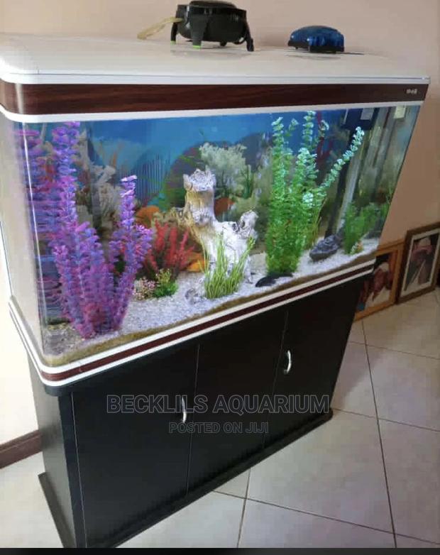 Aquarium Tank · Photo 1