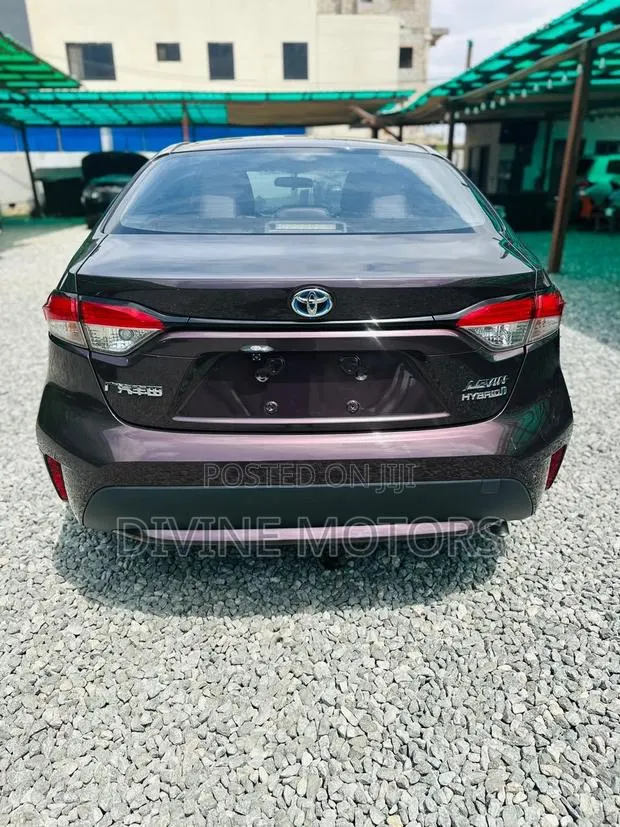 Toyota Levin Hybrid Entry 2019 Purple · Photo 1