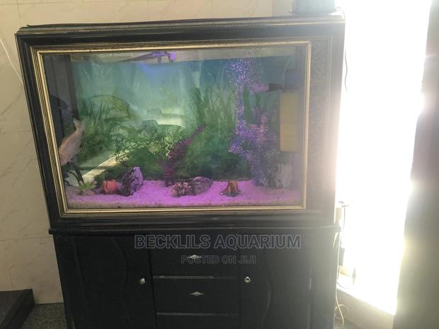 Aquariums and Fish Bowl · Photo 1