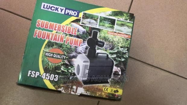 Submersible Pump · Photo 2