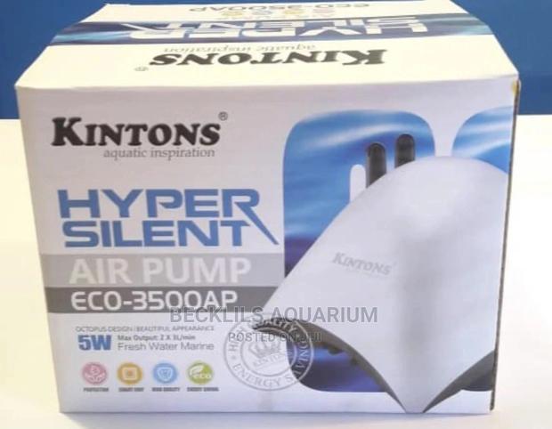 Silent Air Pumps · Photo 1