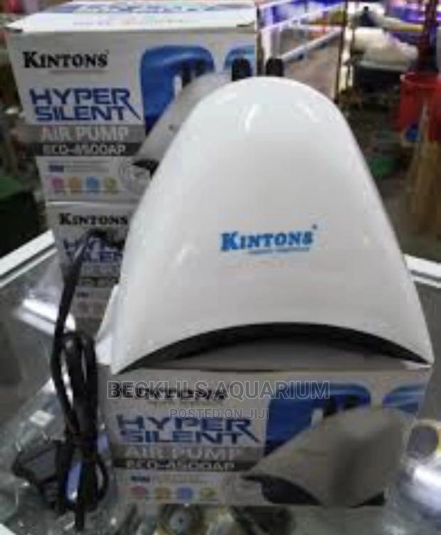 Silent Air Pumps · Photo 2