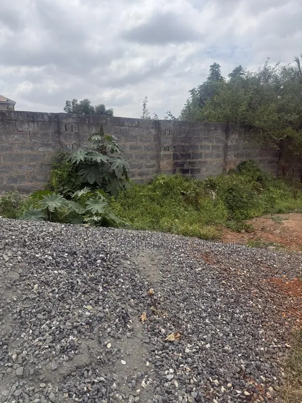 140x70ft Land for Sale at Afienya · Photo 1