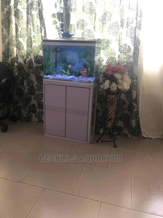 Aquariums and Fish Bowl · Photo 2