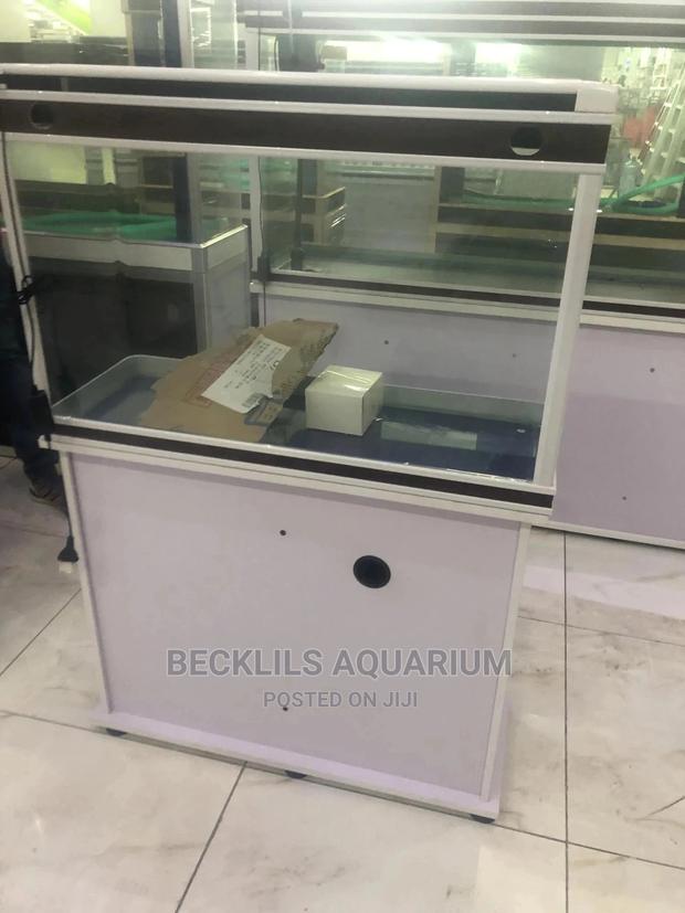 Aquariums and Fish Bowl · Photo 3