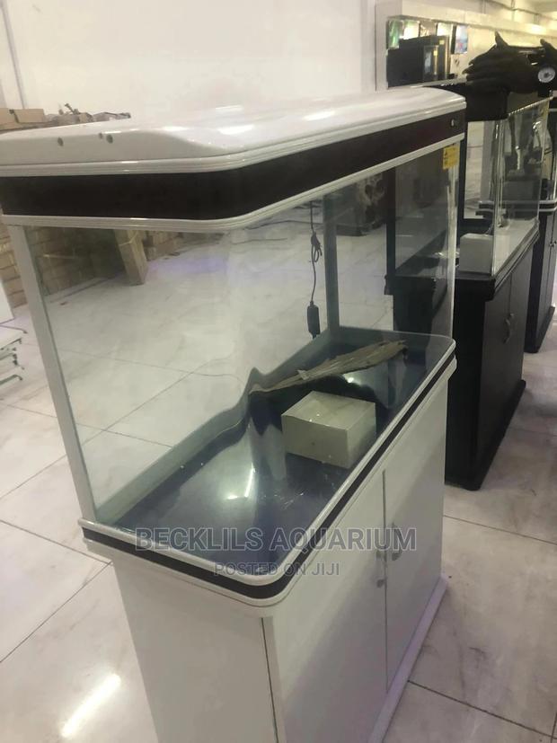 Aquariums and Fish Bowl · Photo 4