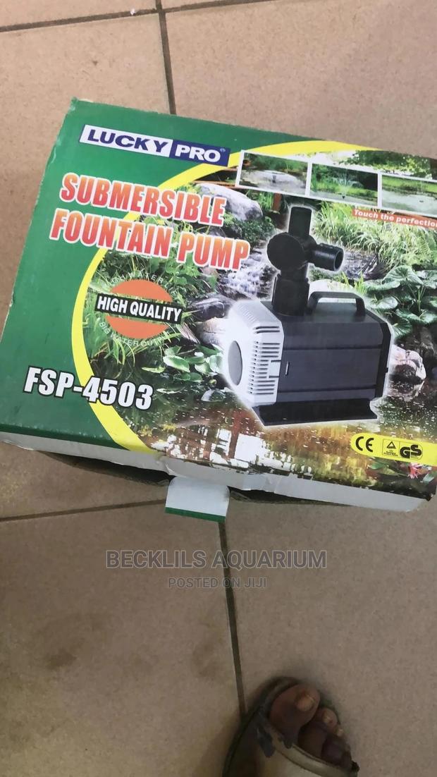 Submersible Pump · Photo 1