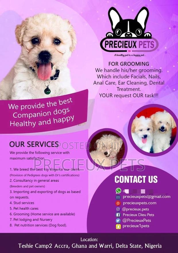 Grooming, Pet Nutrition, Lodging, Consultants · Photo 1