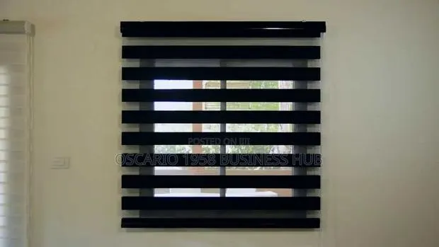 Martina Modern Zebra Custom Blinds · Photo 1