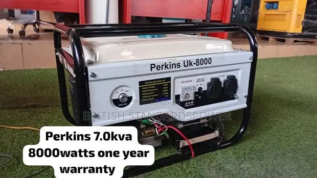 Perkins 8000w Backup Generator – Keep the Lights on Anytime · Photo 1