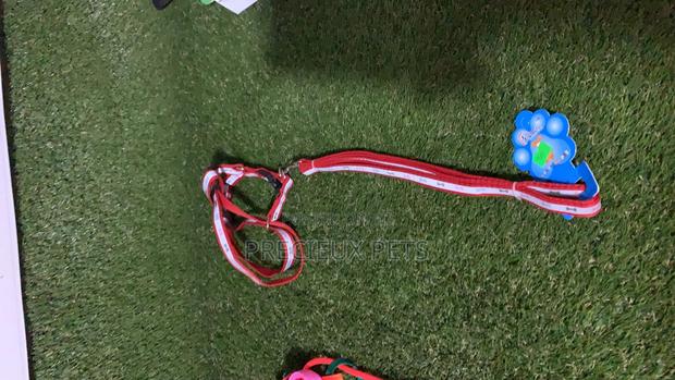 Toy Dog Harness · Photo 1