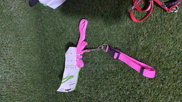 Toy Dog Harness · Photo 2