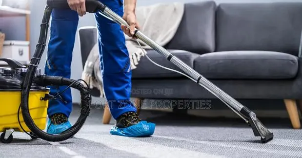 Vibrant Carpet and Floor Cleaners With Cleantex · Photo 1