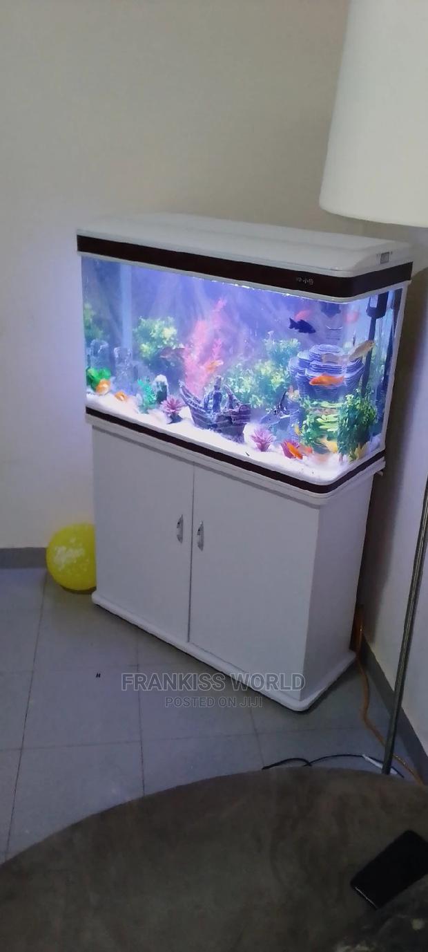 My Royal Aquarium · Photo 1