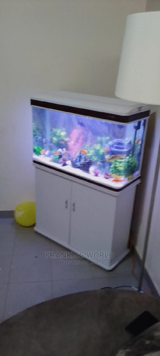 My Royal Aquarium · Photo 2