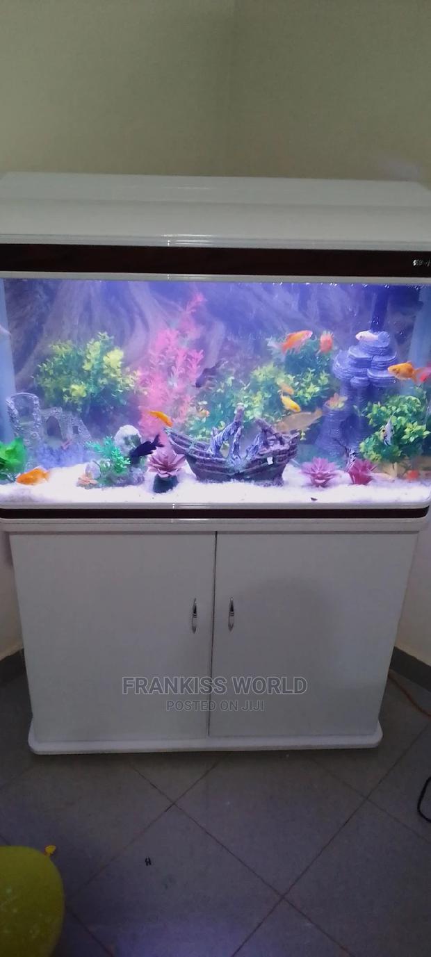 My Royal Aquarium · Photo 3