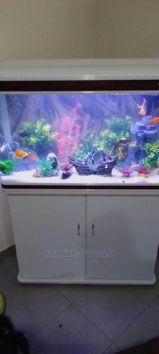 My Royal Aquarium · Photo 4