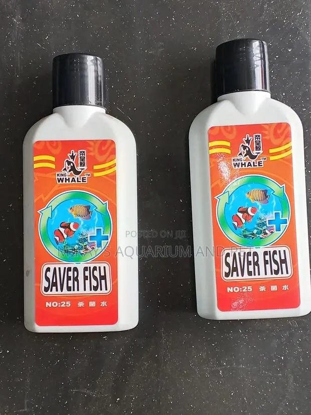Saver Fish · Photo 1